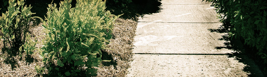 报复骗子轰炸神器